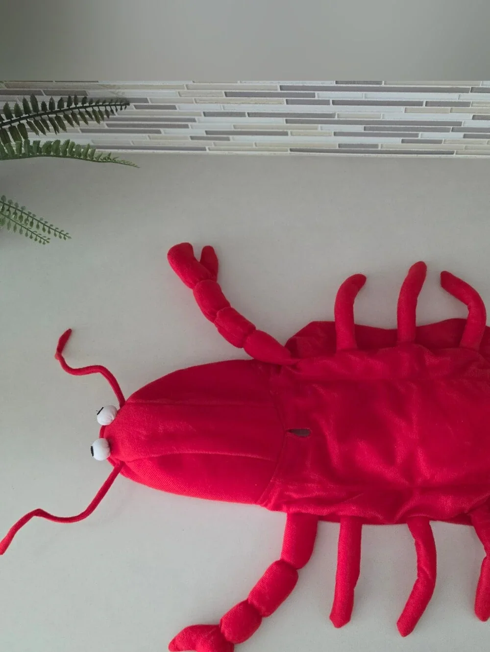 Casual Canine Lobster Paws Dog Costume Small Excellent Condition
